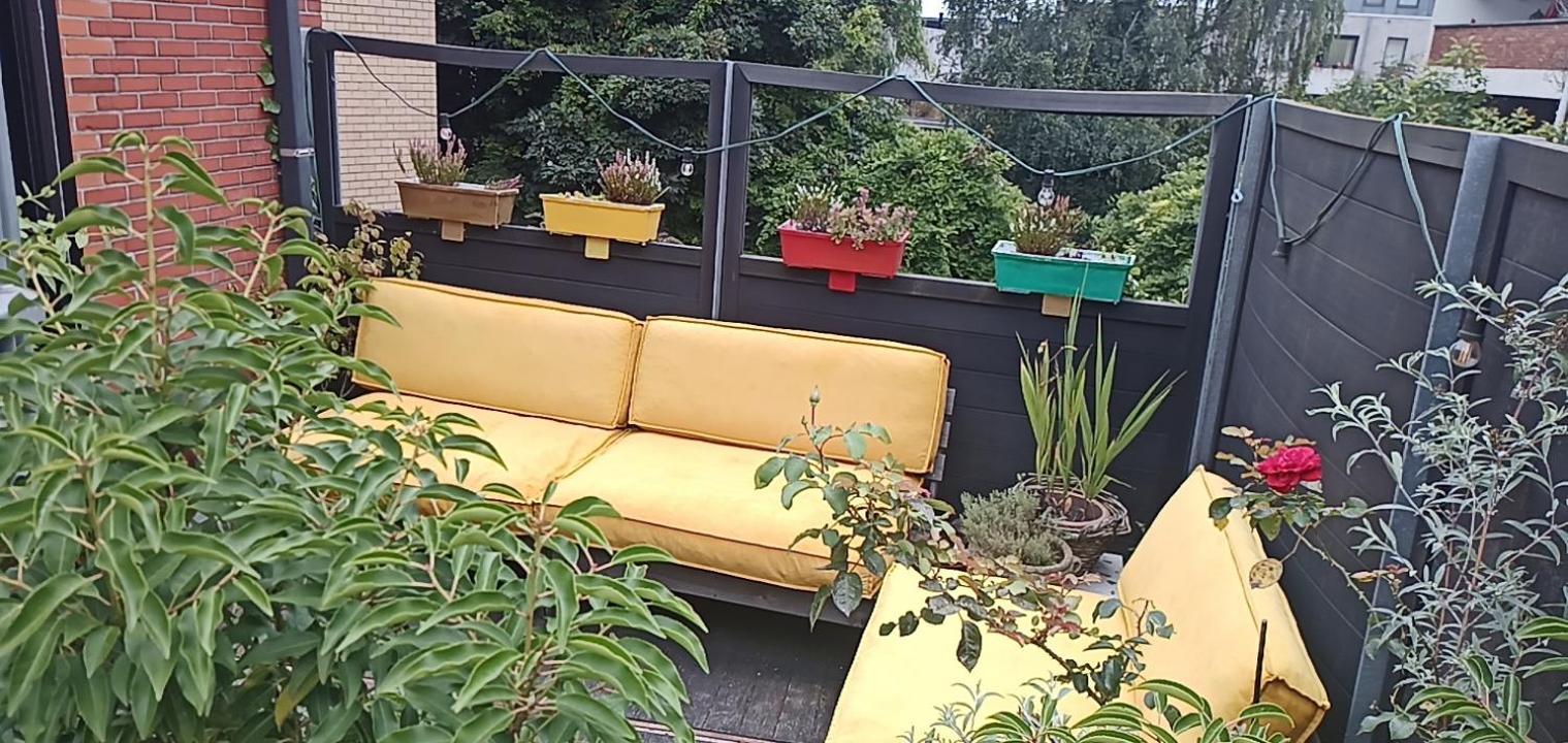 Lodgerivierenhof Antwerp Luaran gambar